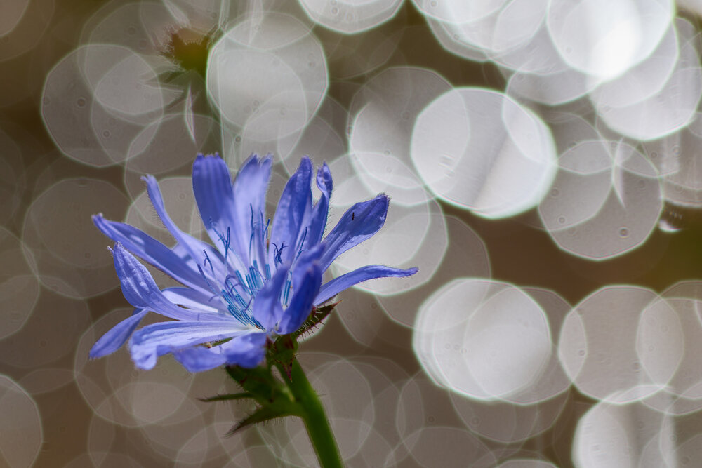 Photograph by Константин Федяев