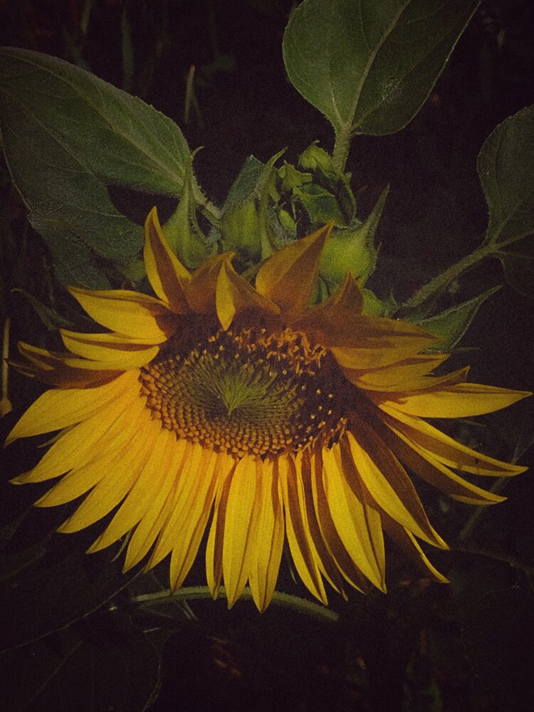 Photograph by Виктория Дудкина