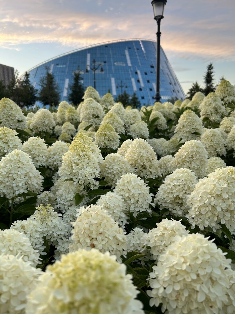 Photograph by Анар Амирова