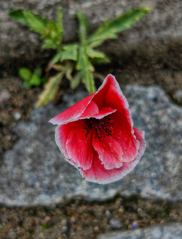 Photograph by Мария