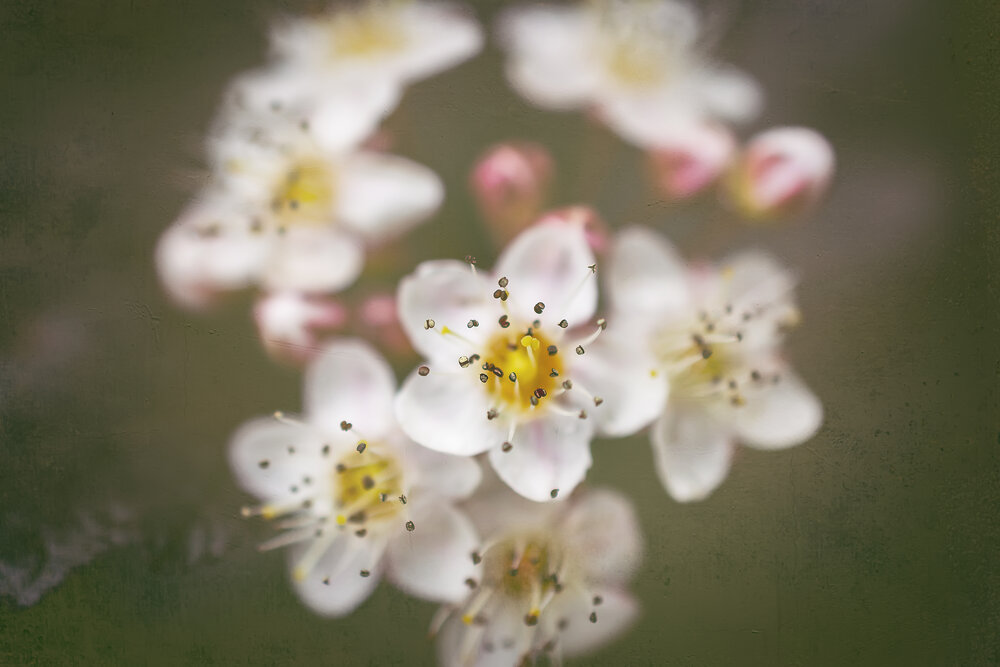 Photograph by Сергей Немчинов