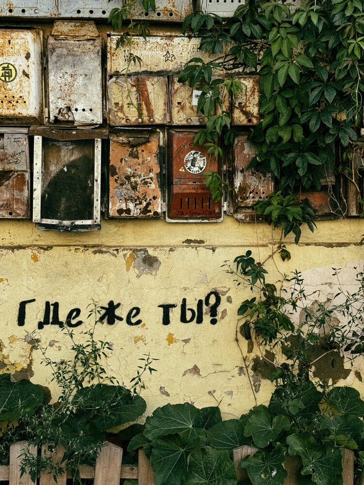 Photograph by Татьяна Цапкова
