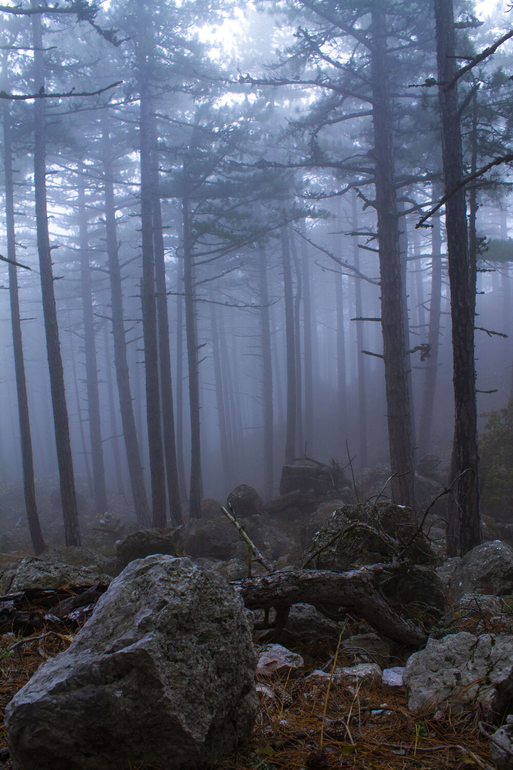 Photo #13854008