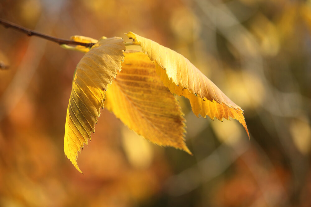 Photograph by Полина Зайцева