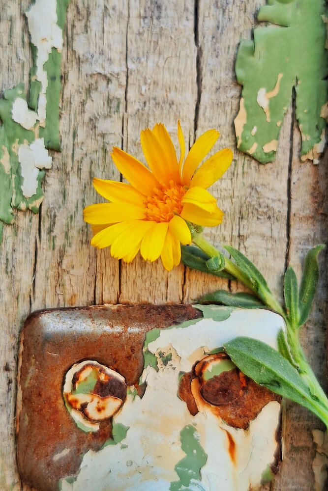 Photograph by Zahra akbari