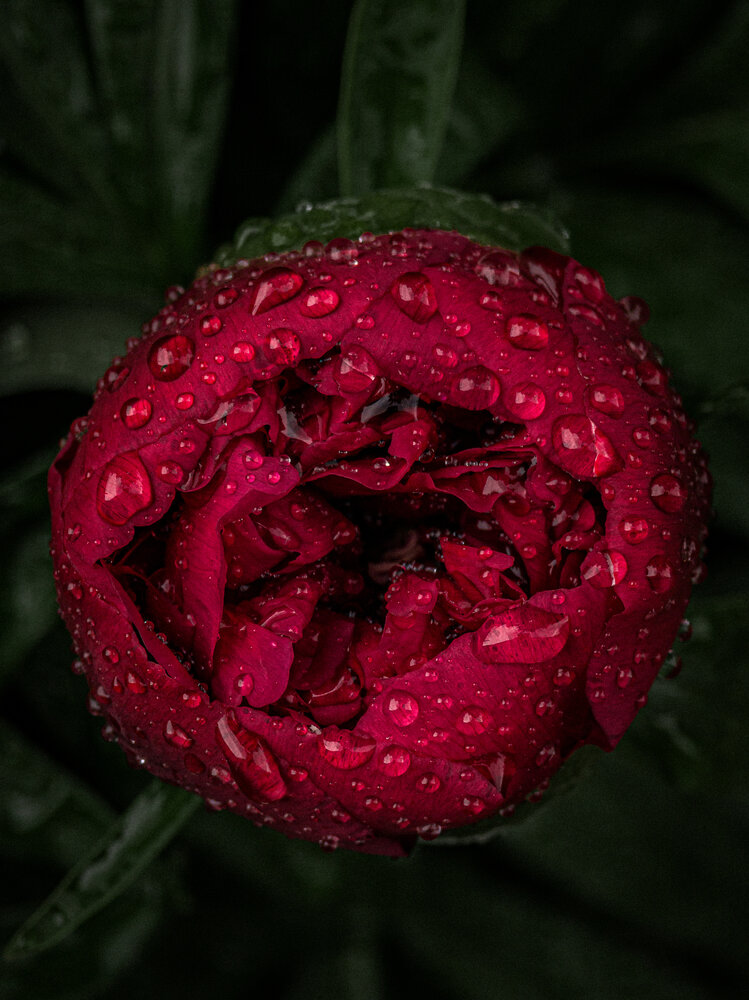 Photograph by Гузель Гнилорыбова