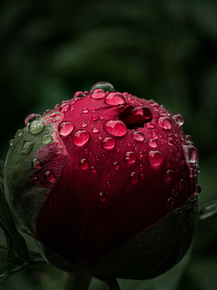 Photograph by Гузель Гнилорыбова