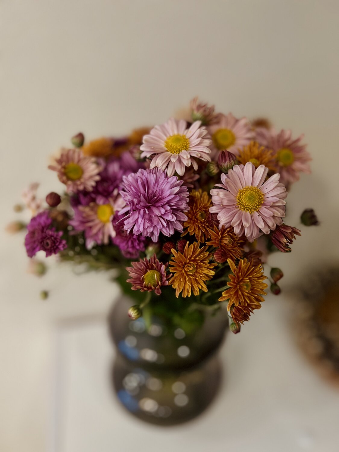 Photo #13854039