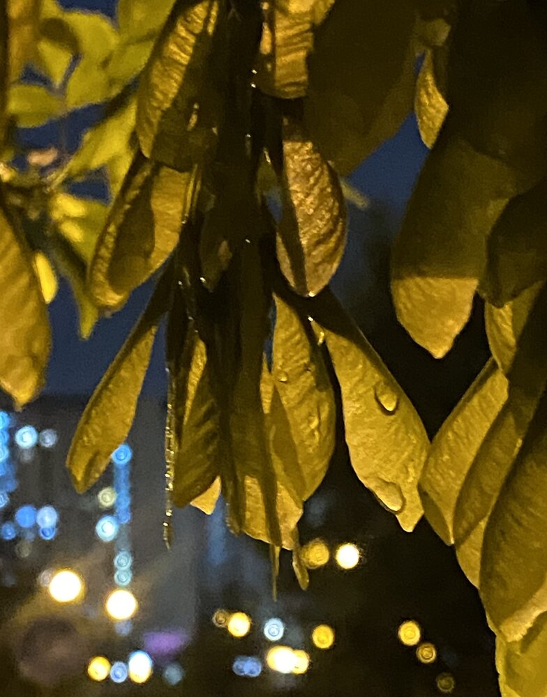 Фотография автора Наталья Мартынова