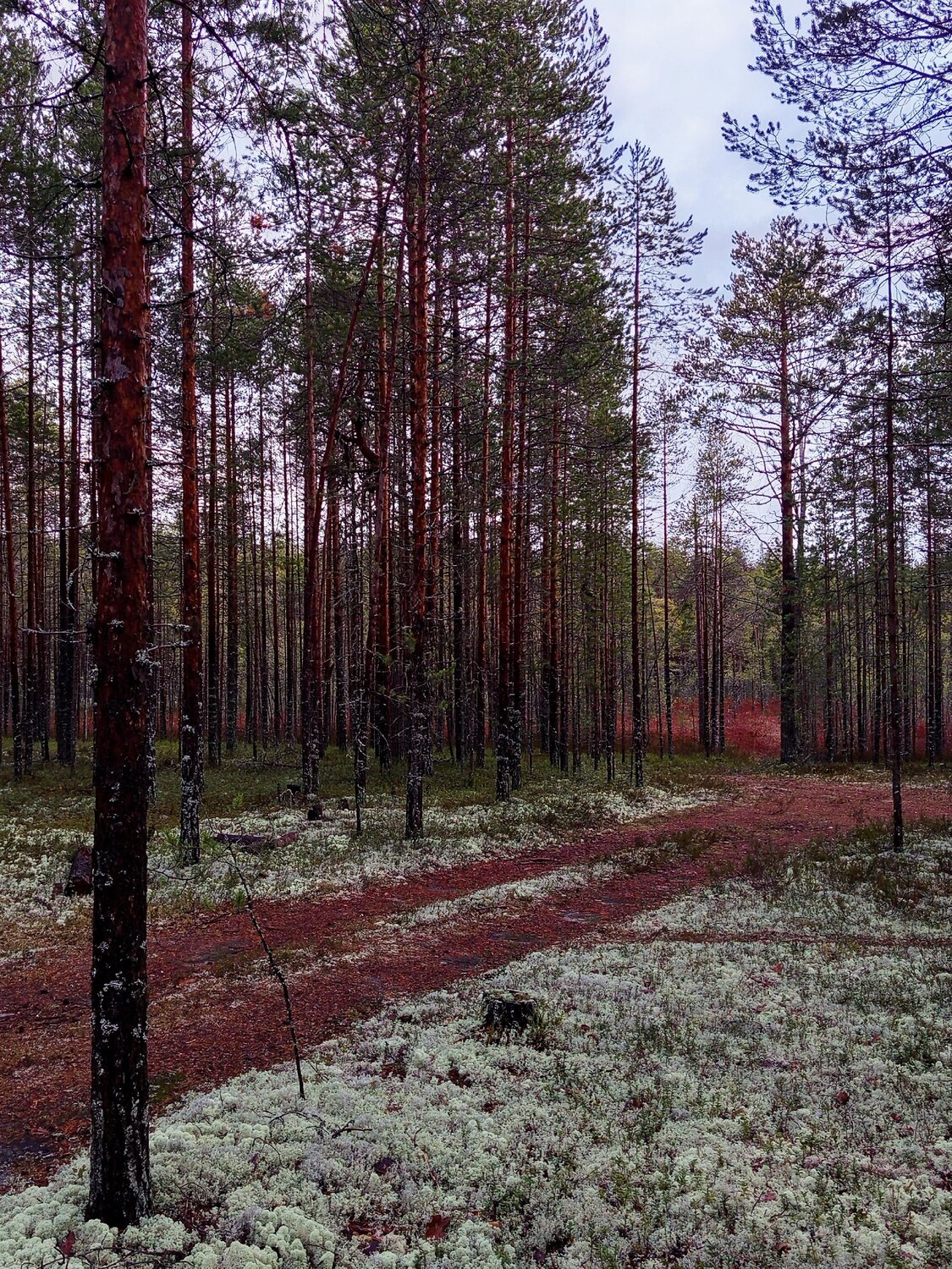 Photo #13854127