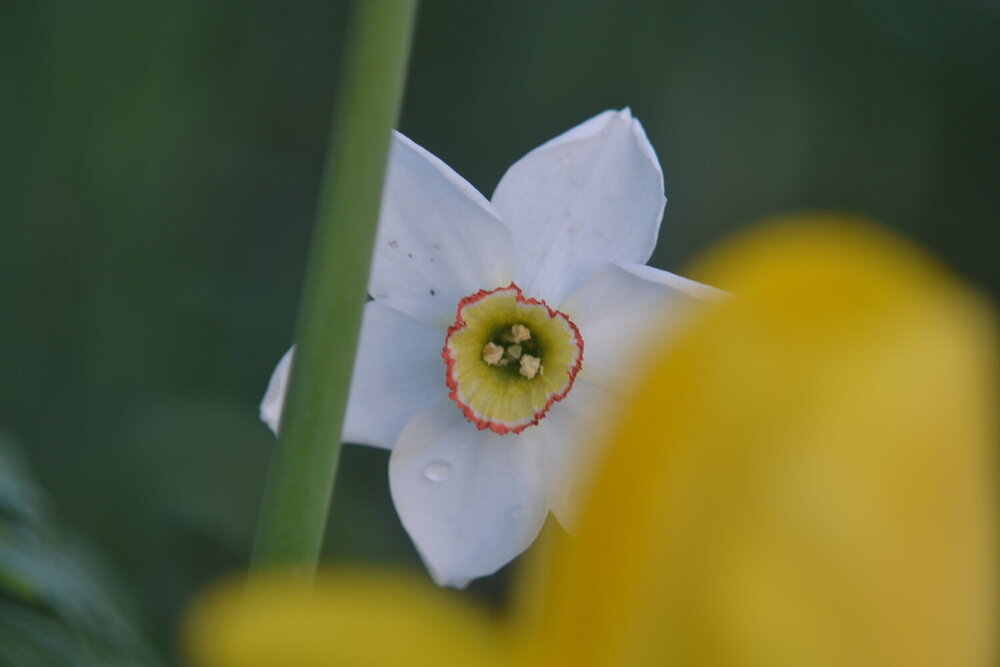 Photograph by Николай Дмитриев