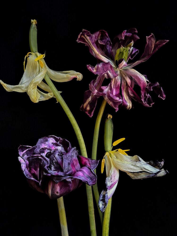 Photograph by Олена Уманцева