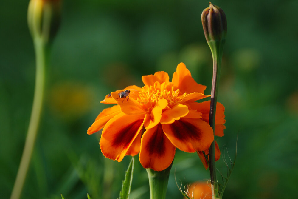 Photograph by Юрий Тимофеев