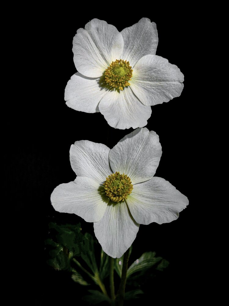 Photograph by Ирина Строкова