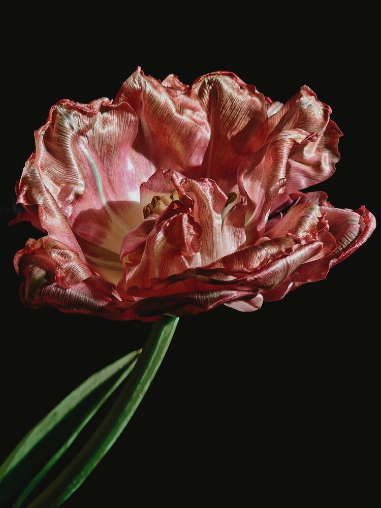 Photograph by Ирина Строкова
