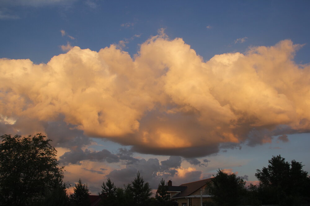 Photograph by Mark Kolbin