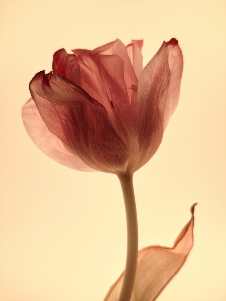 Photograph by Ирина Строкова