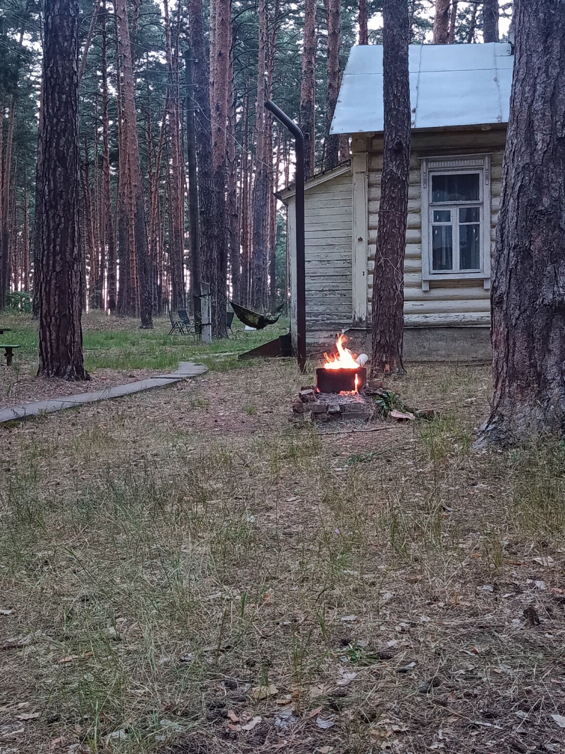 Photo #13854282