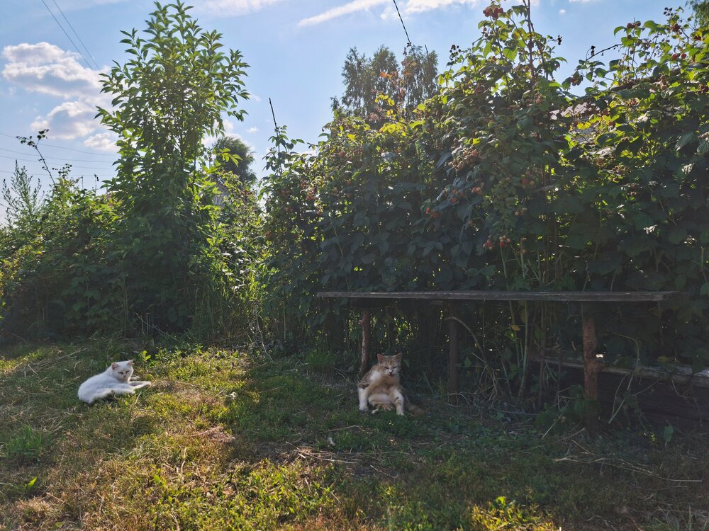 Photograph by Елена Фурашова