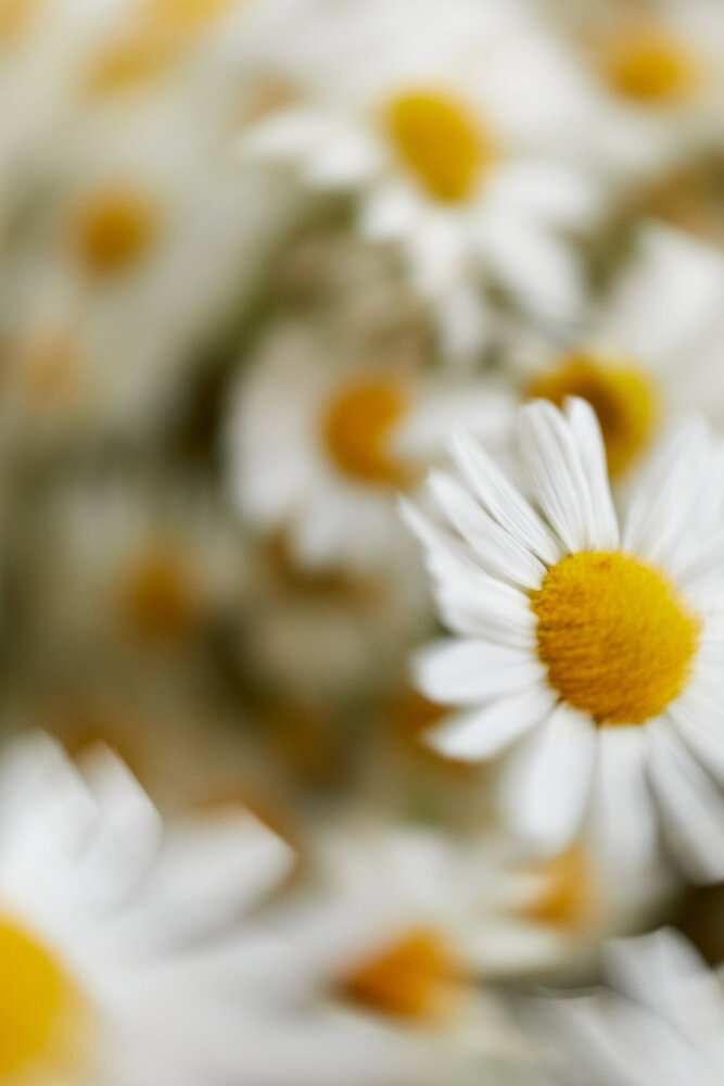 Photograph by Полина Парыгина
