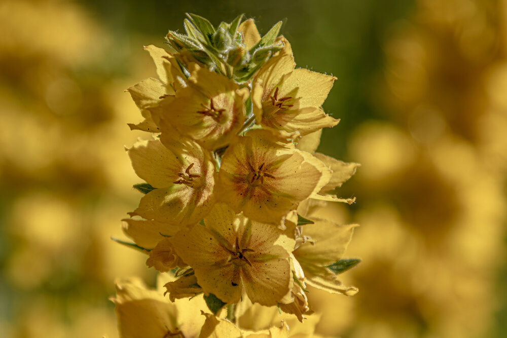 Photograph by Юлия Куликова