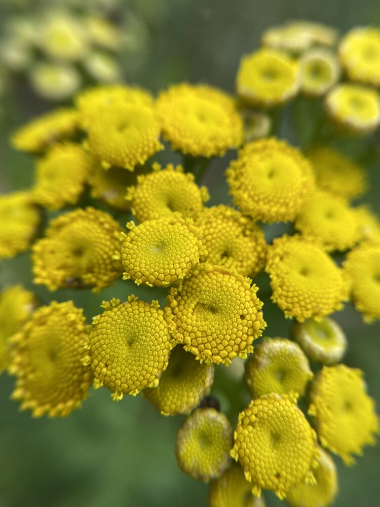 Photograph by Ольга Осинина