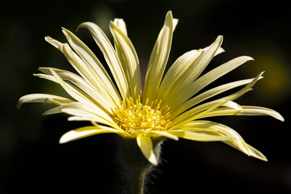 Photograph by Юлия Куликова