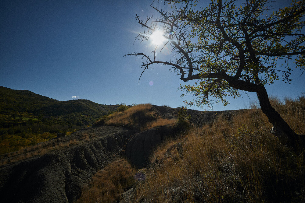 Photograph by Ivan Veljanov