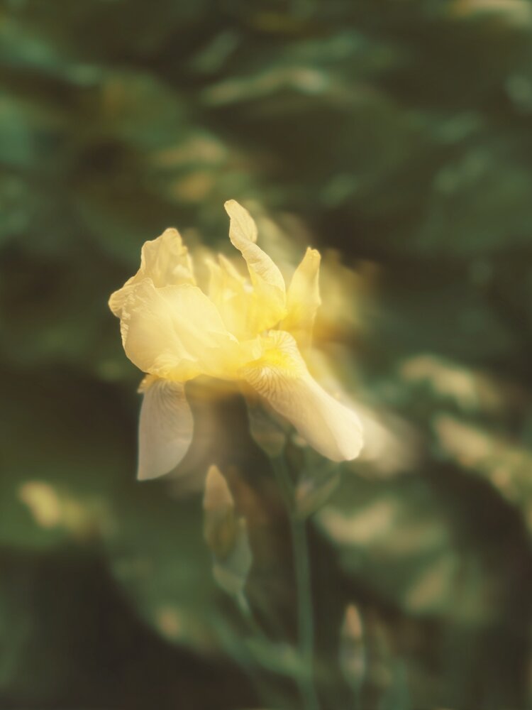 Photograph by Светлана Долганова