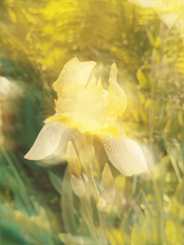 Photograph by Светлана Долганова