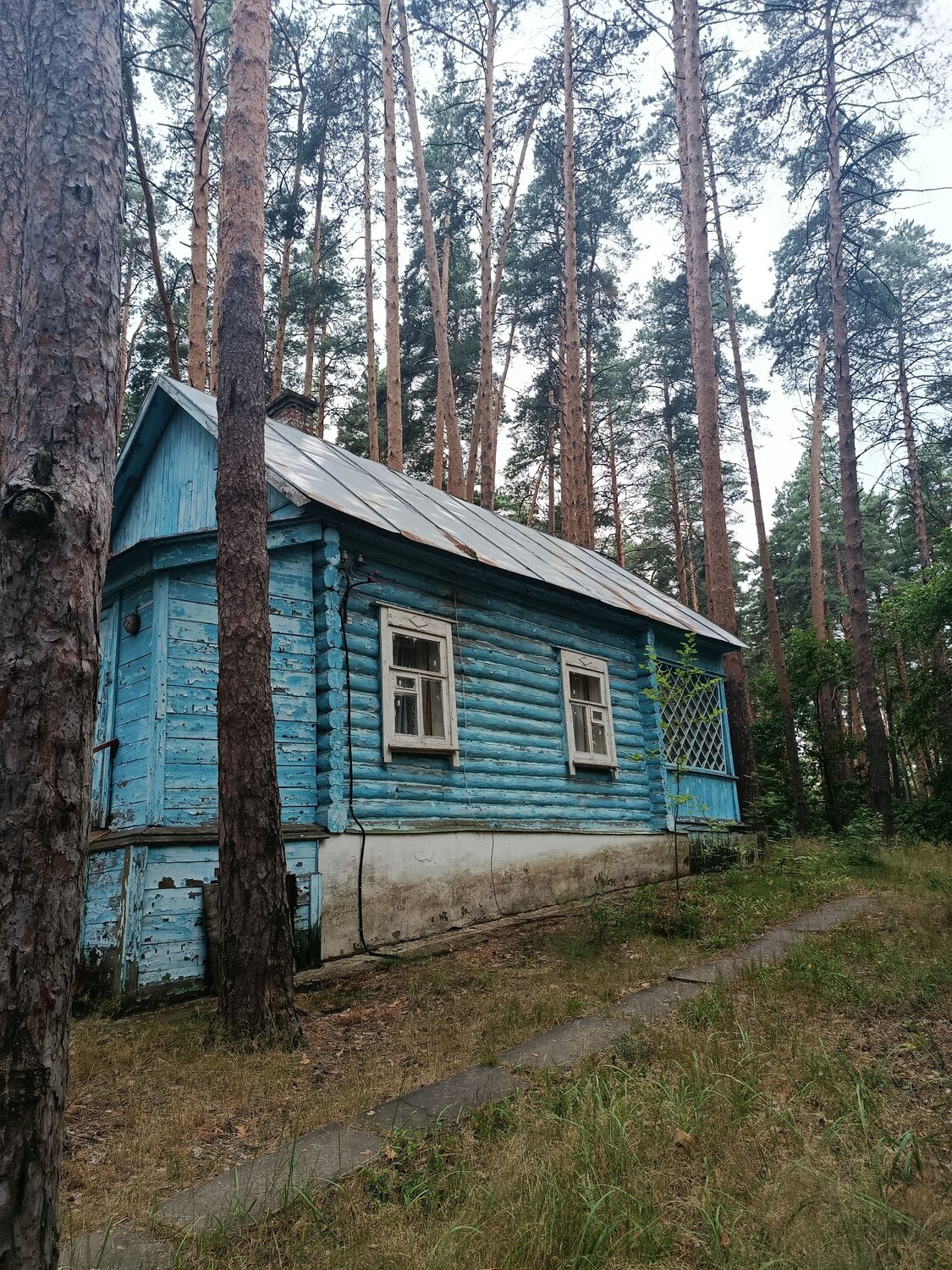 Photo #13854357