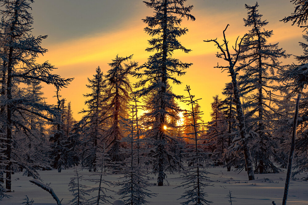 Photograph by Галина Искандарова