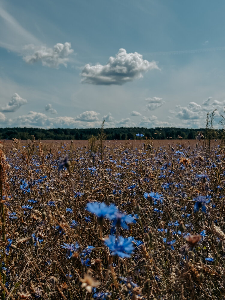 Photograph by Светлана Долганова