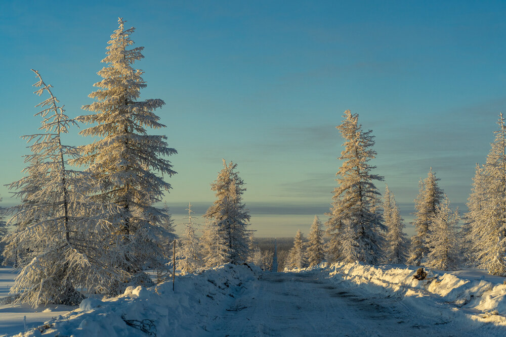 Photograph by Галина Искандарова