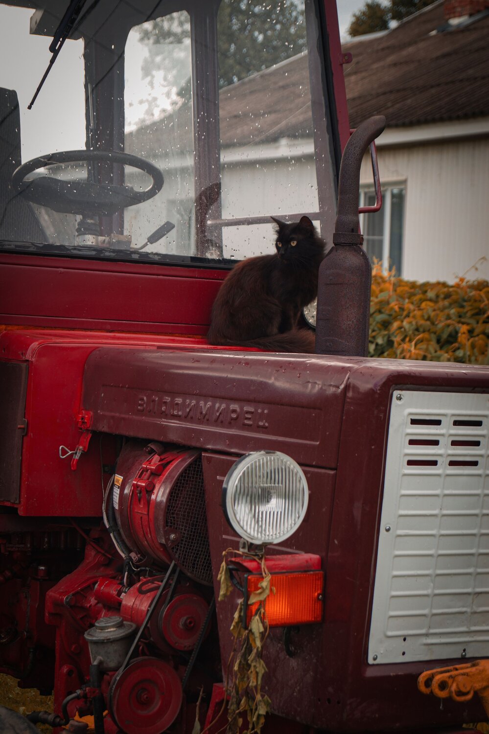 Photo #13854409