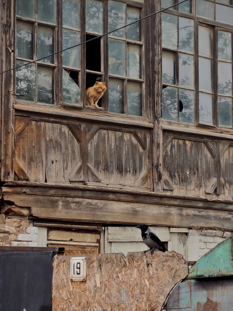 Photograph by Наталья Темная