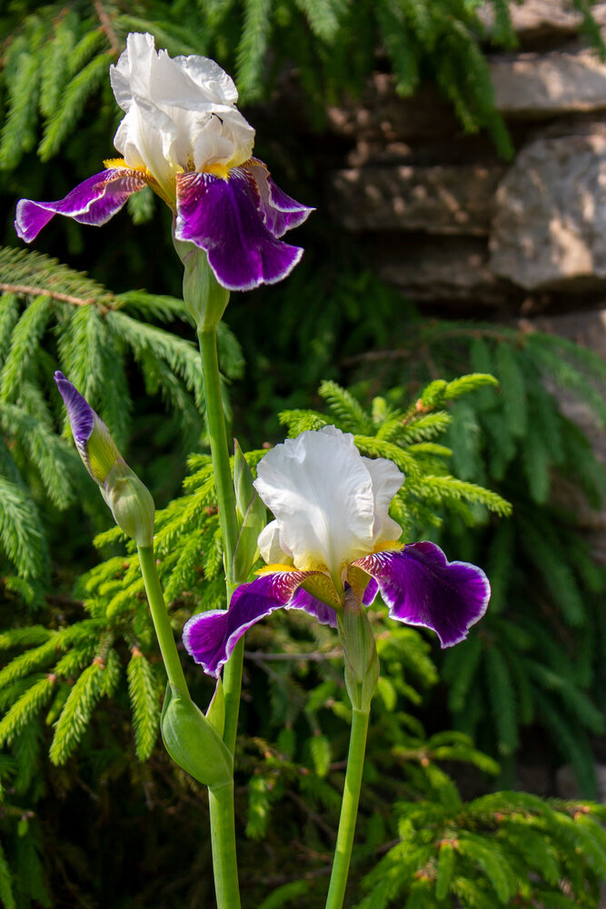 Photograph by Евгения Ступина