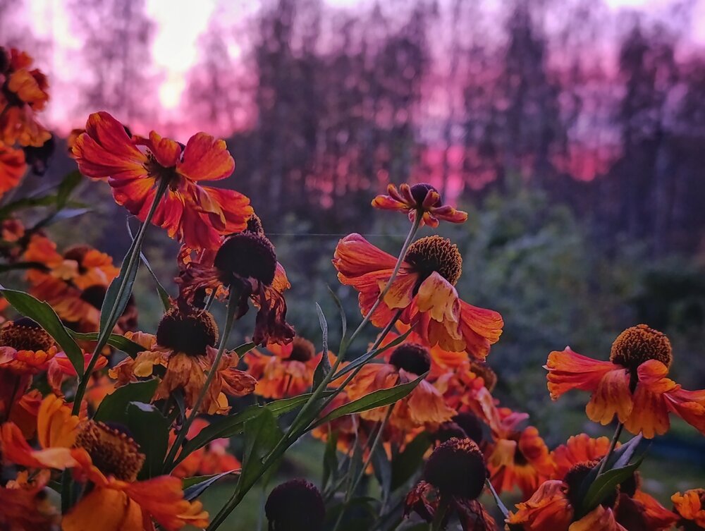 Photograph by Наталья Романова