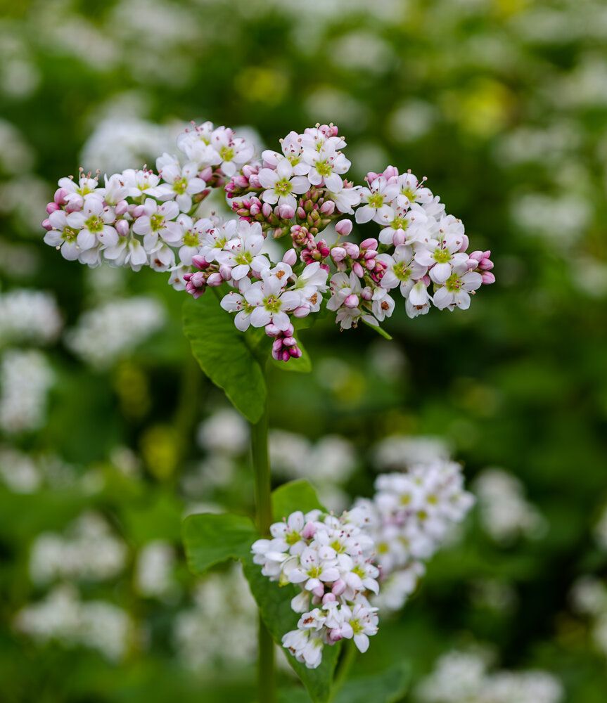 Photograph by Алёна