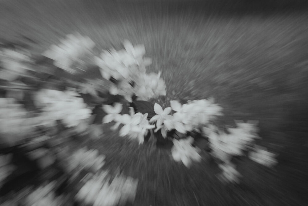 Photograph by Анна Бушина