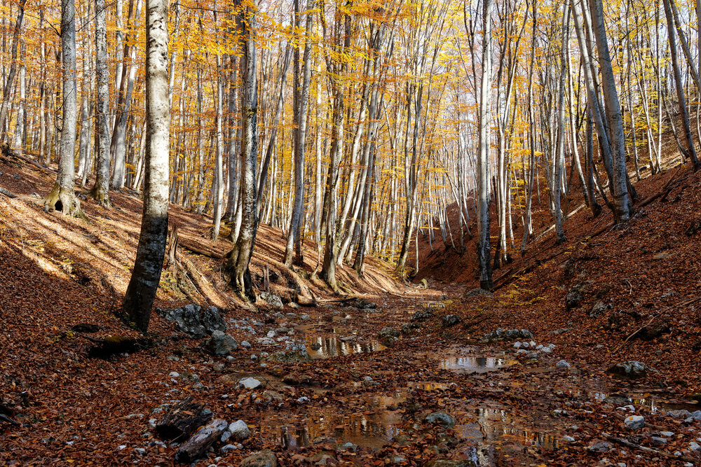 Photograph by Ян