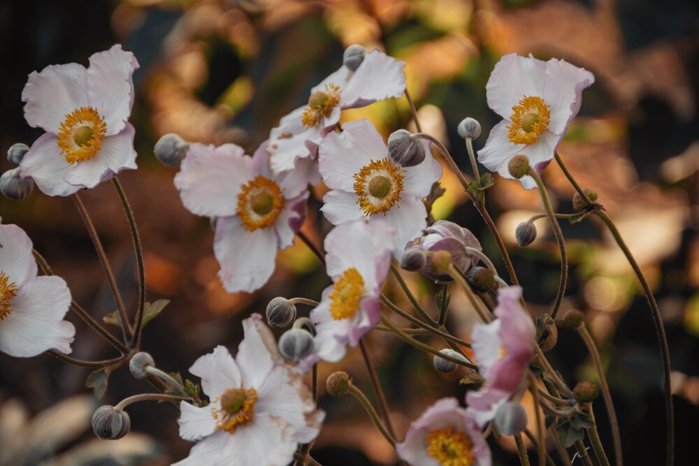 Photograph by Анна Любимова