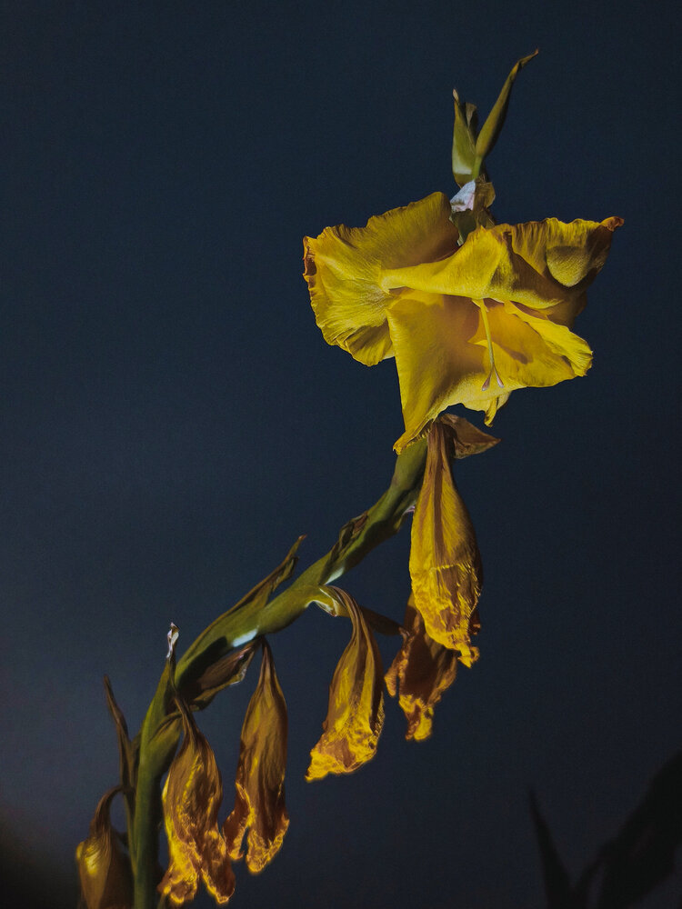 Photograph by Наталия Соболева