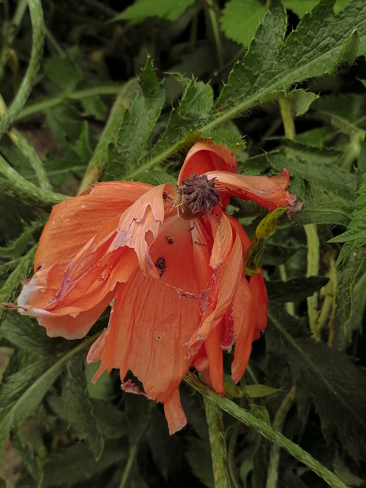 Photograph by Наталия Соболева