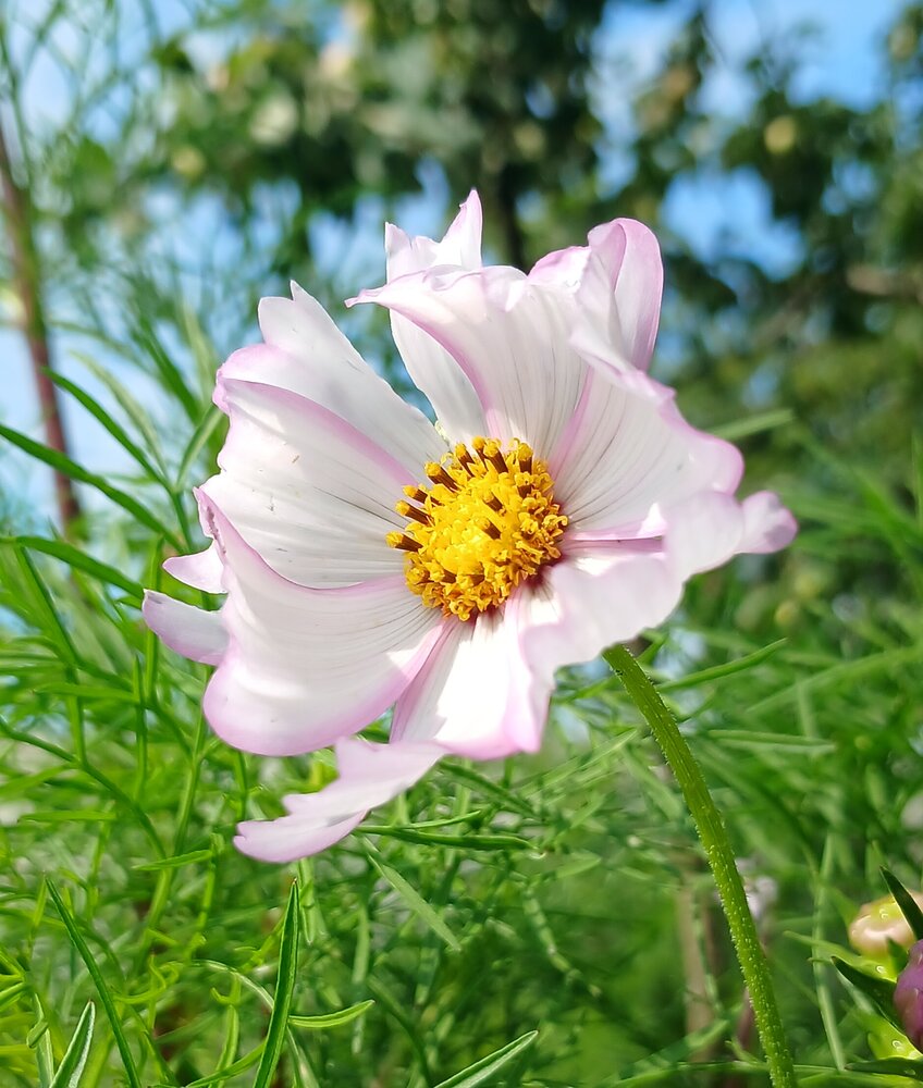 Photograph by Елена Максимова