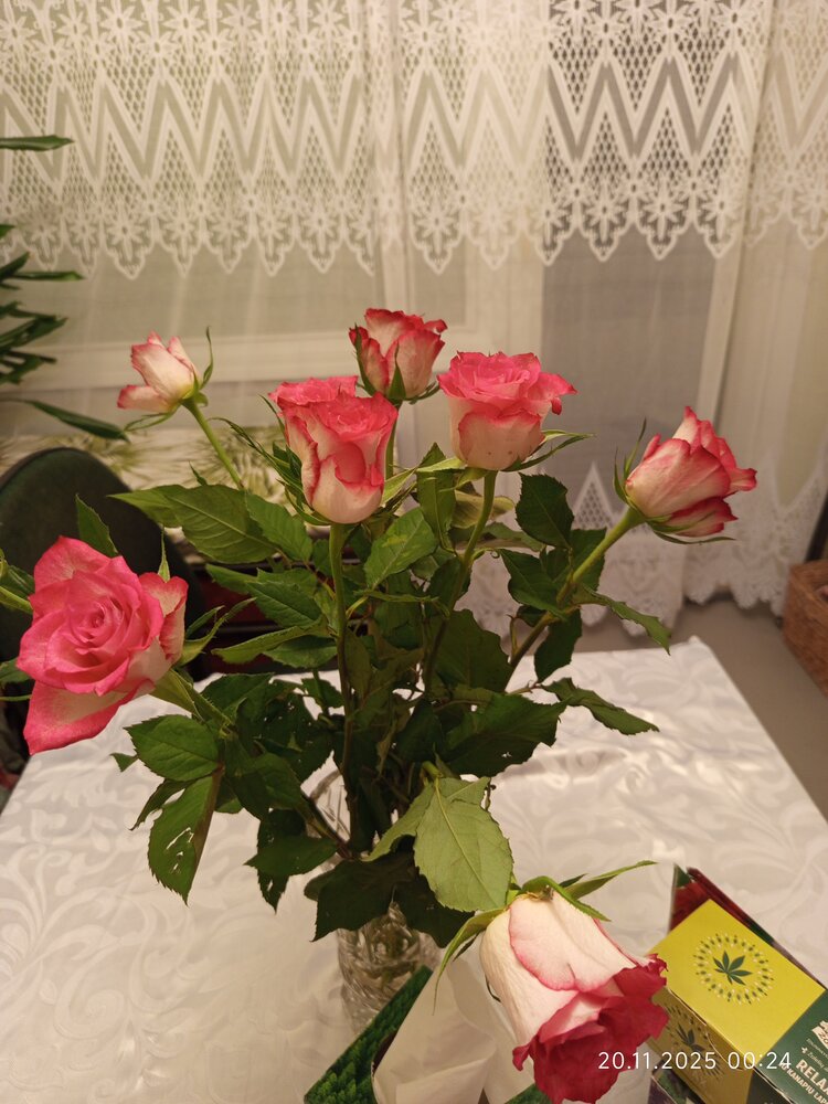 Photo #13854760