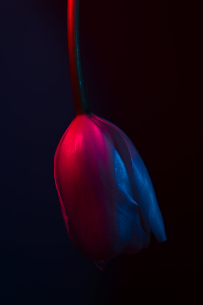 Photograph by Tatiana Erofeeva
