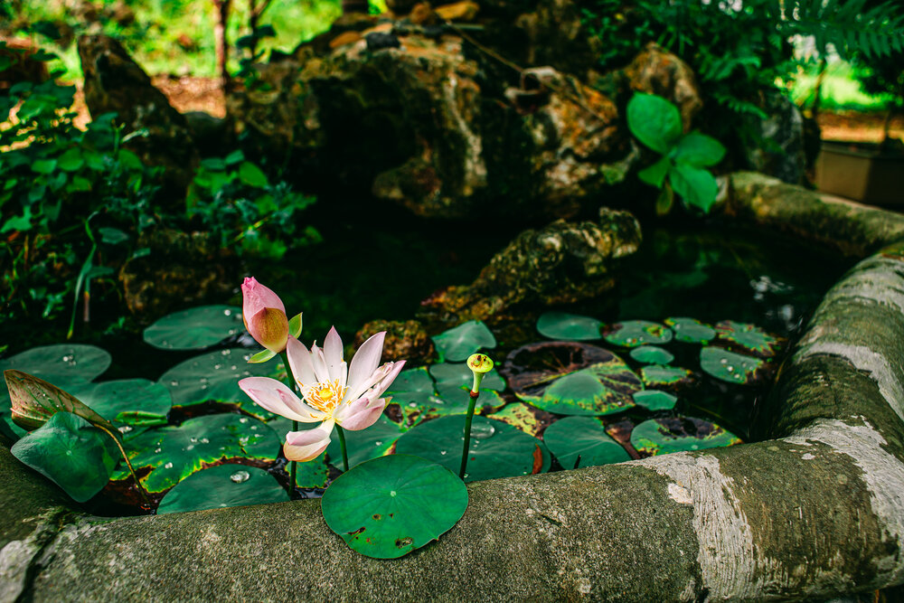 Photograph by OTABIT