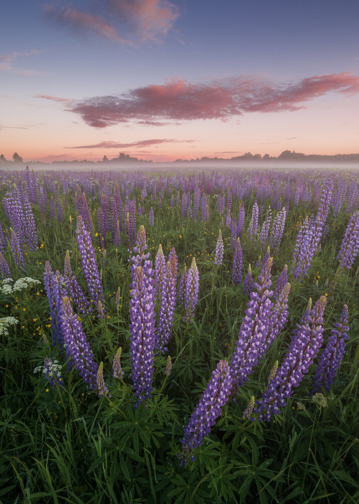 Photograph by Ivan Glinskiy