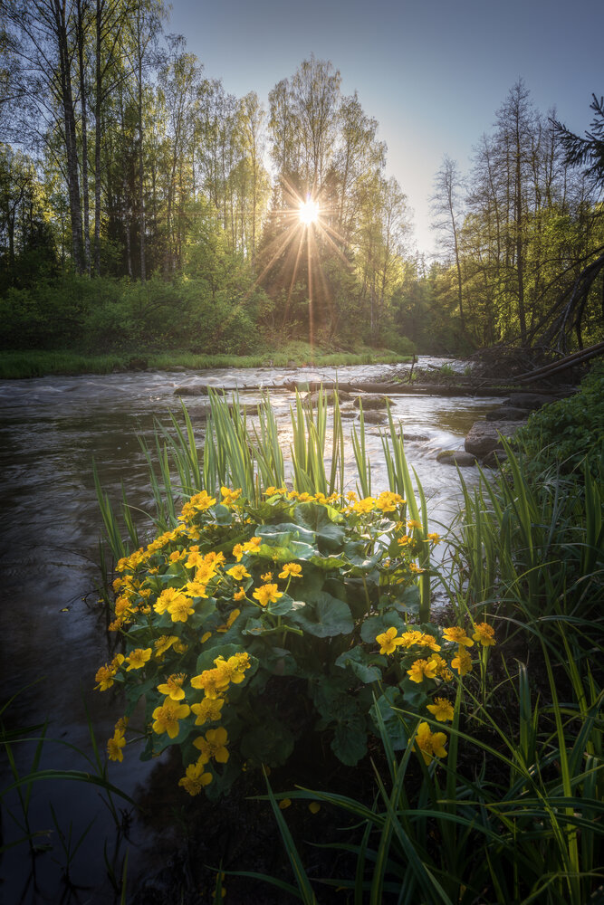 Photograph by Ivan Glinskiy